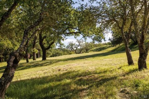 6225 W Soda Rock Lane Healdsburg CA 95448