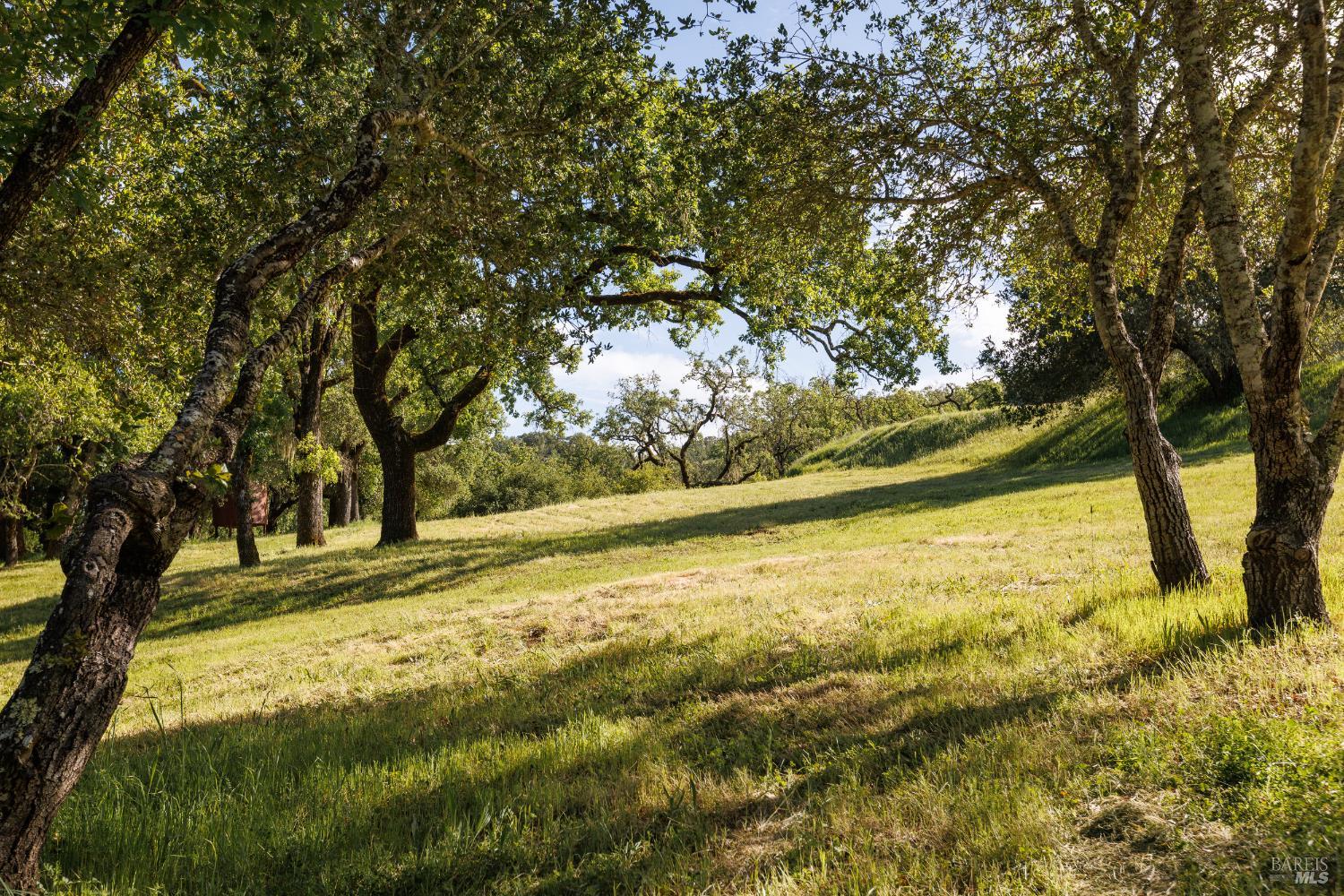 6225 W Soda Rock Lane Healdsburg CA 95448