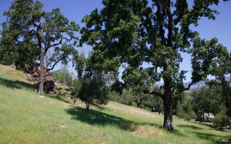 6225 W Soda Rock Lane Healdsburg CA 95448