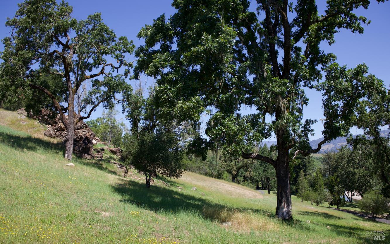 6225 W Soda Rock Lane Healdsburg CA 95448