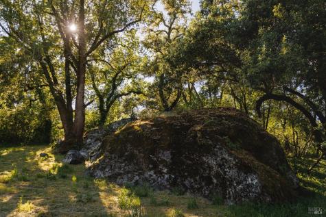6225 W Soda Rock Lane Healdsburg CA 95448