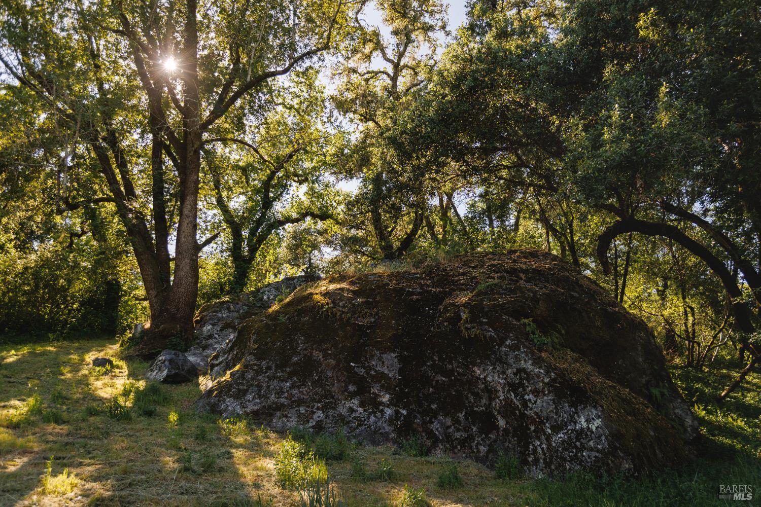 6225 W Soda Rock Lane Healdsburg CA 95448