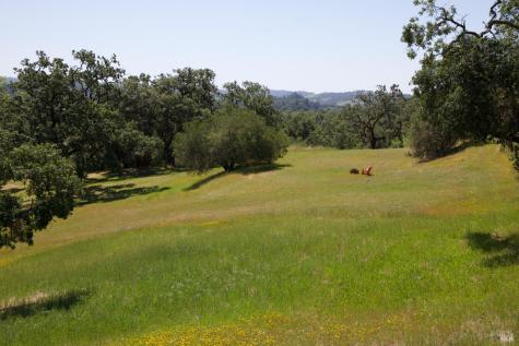 6225 W Soda Rock Lane Healdsburg CA 95448