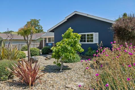115 Daryl Avenue Novato CA 94947