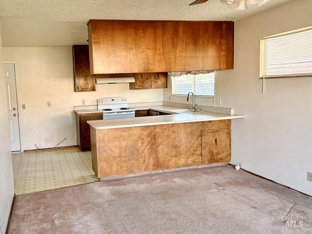 276 Livingston Avenue Vacaville CA 95687