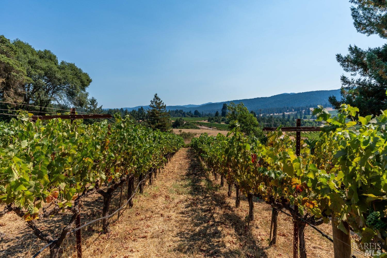 2151 Guntly Road Philo CA 95466