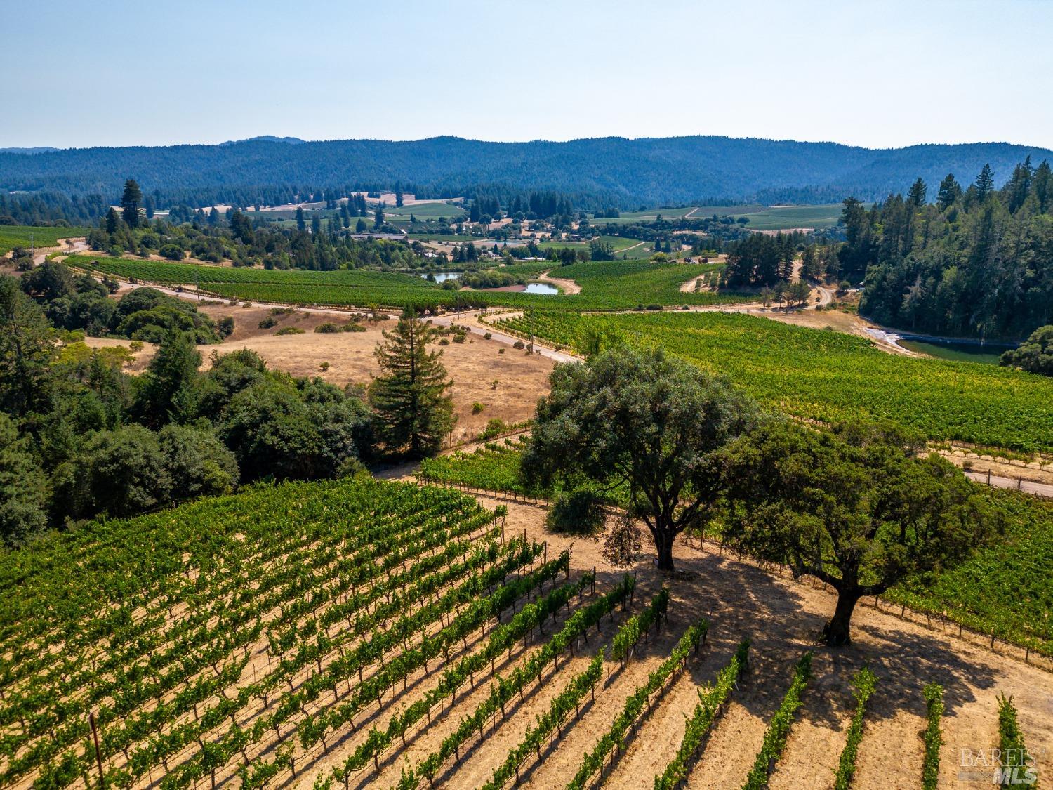 2151 Guntly Road Philo CA 95466
