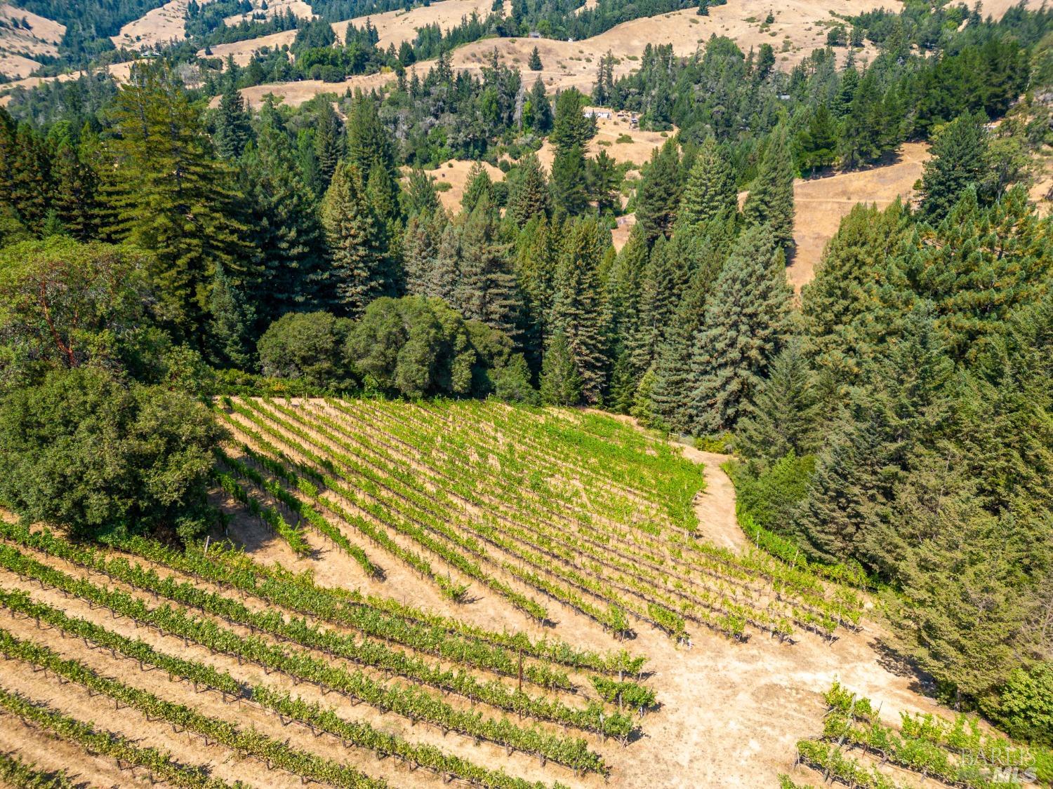 2151 Guntly Road Philo CA 95466