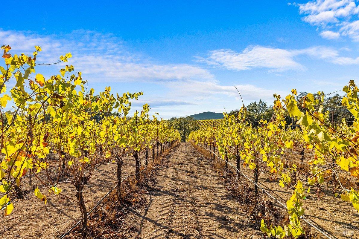6065 Windsor Road Windsor CA 95492