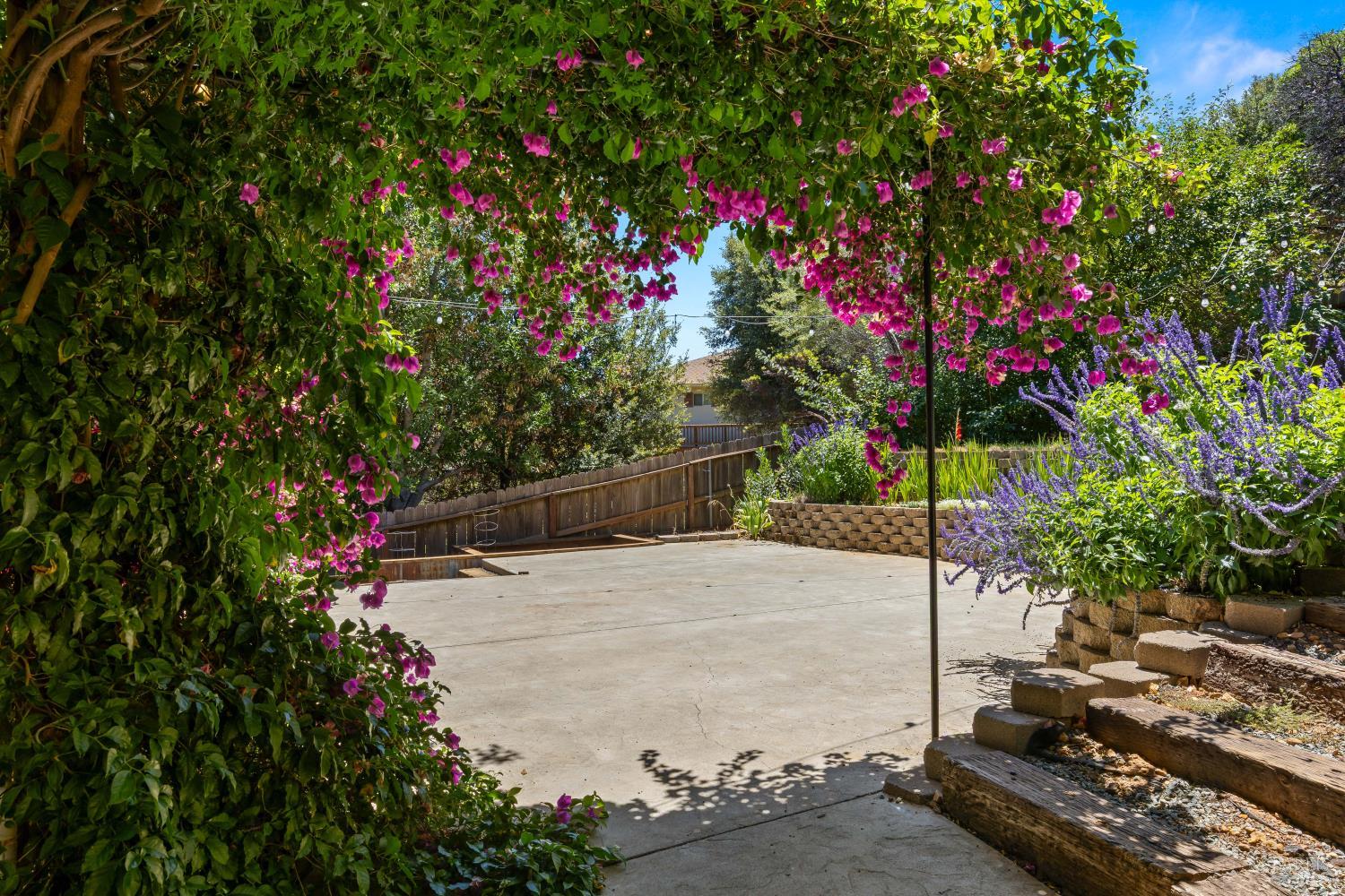 3639 Pine Terrace Drive Kelseyville CA 95451