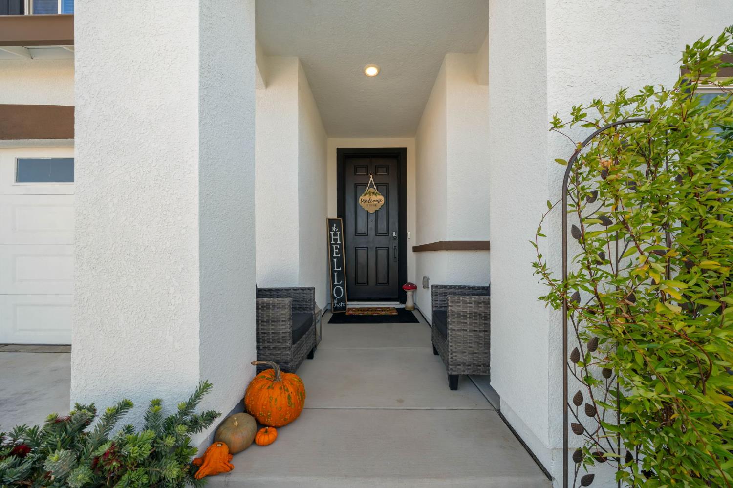 1308 Valley Oak Drive Winters CA 95694