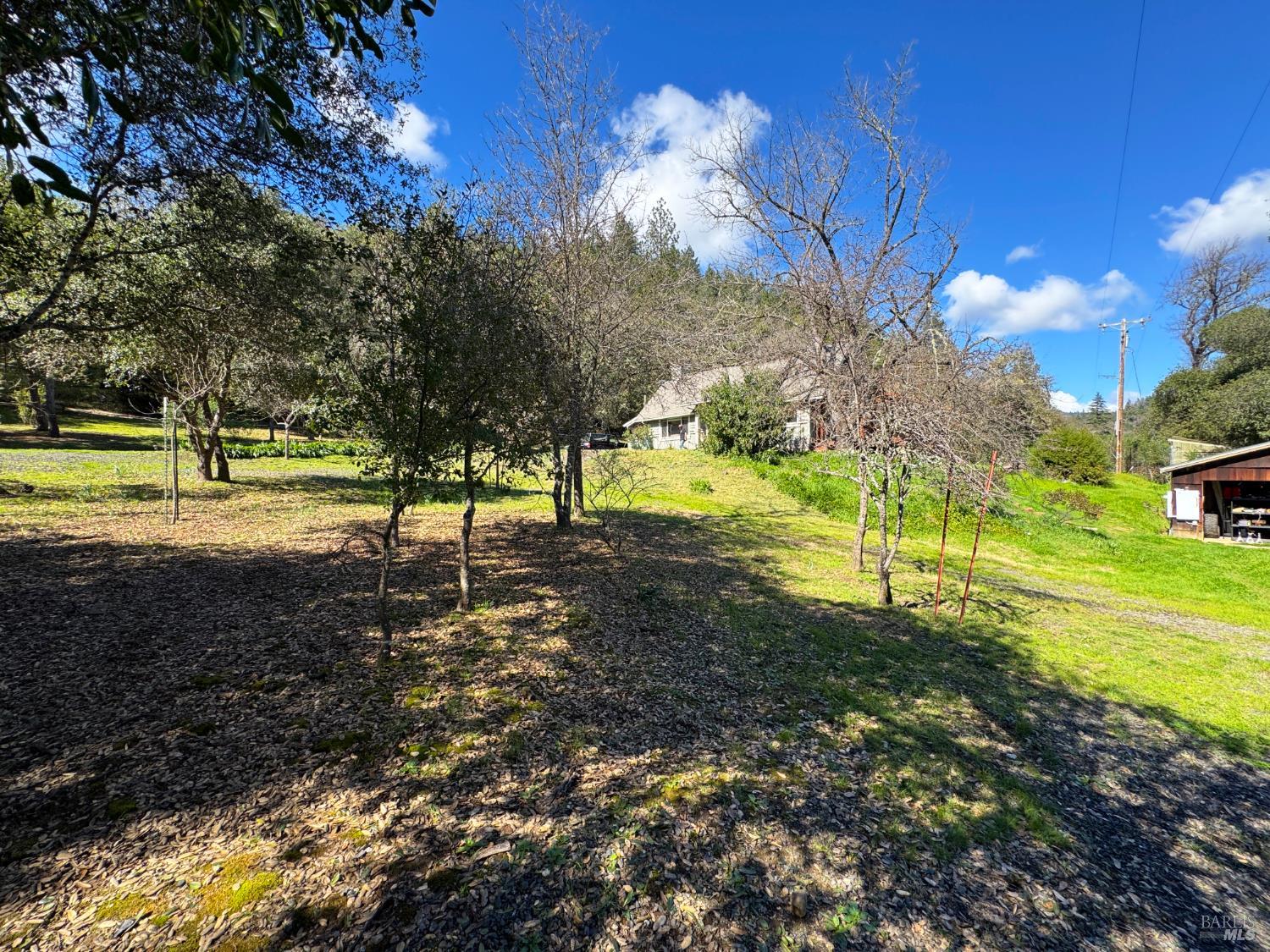 14605 Tomki Road Redwood Valley CA 95470
