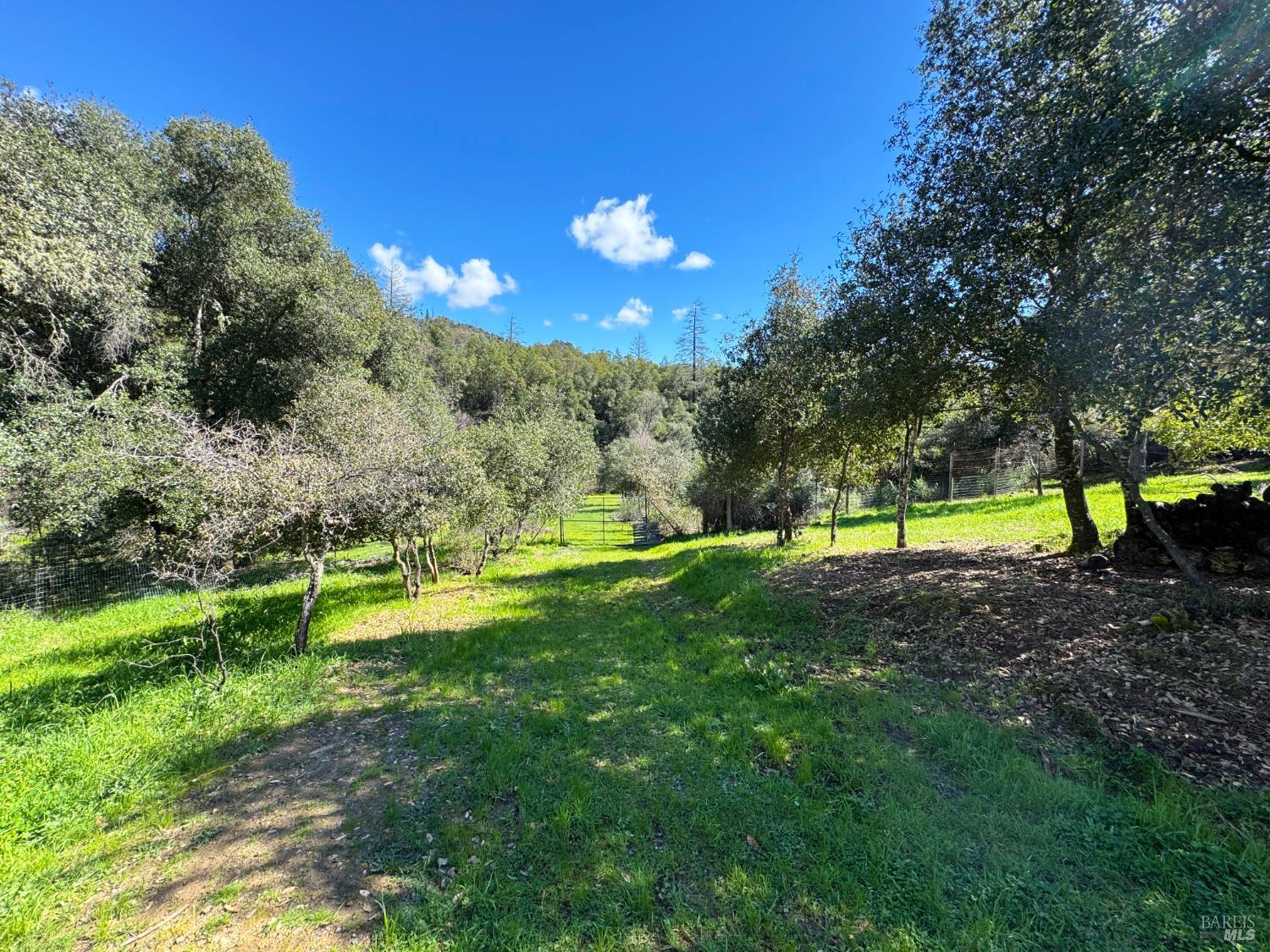 14605 Tomki Road Redwood Valley CA 95470