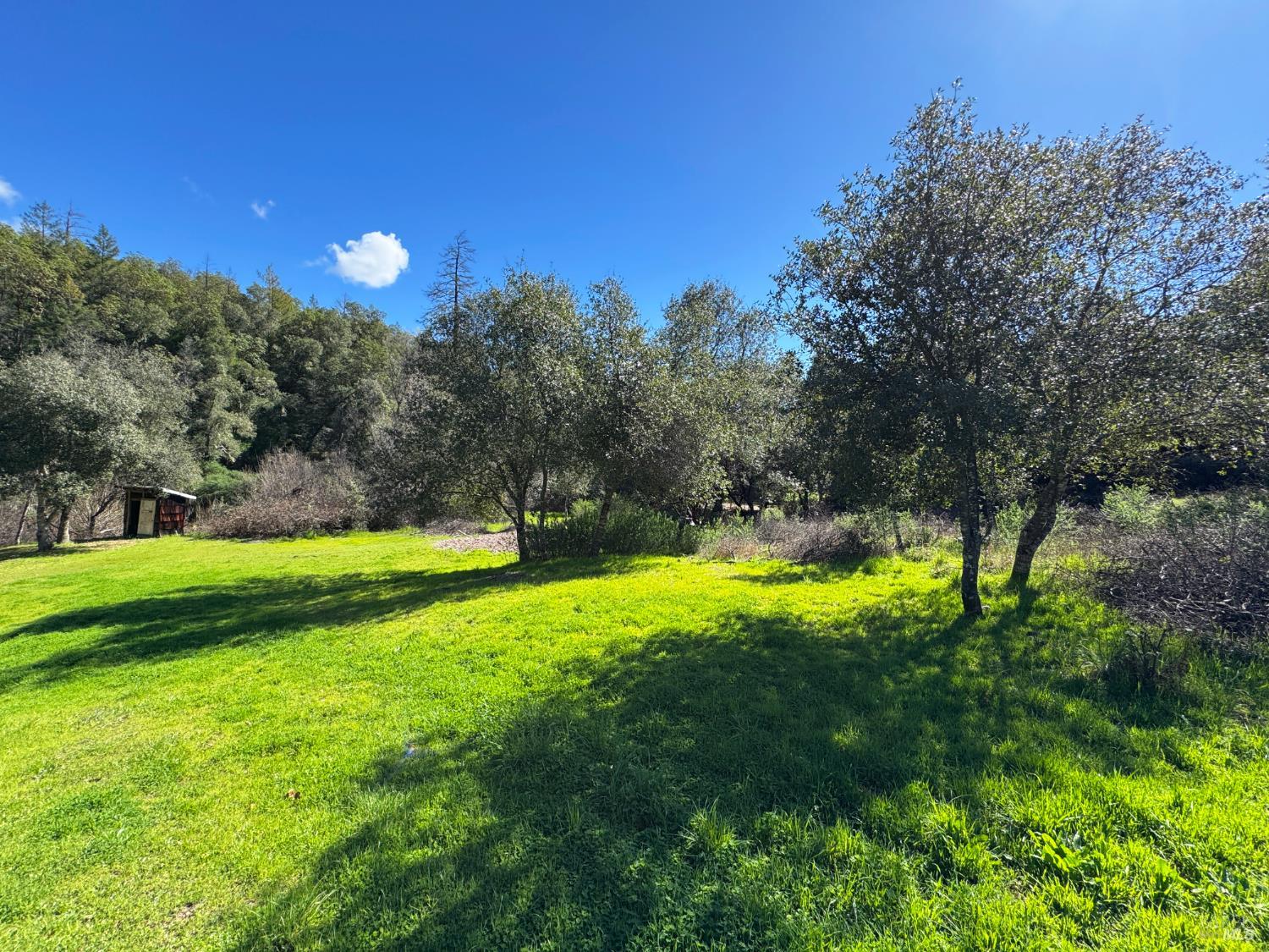 14605 Tomki Road Redwood Valley CA 95470