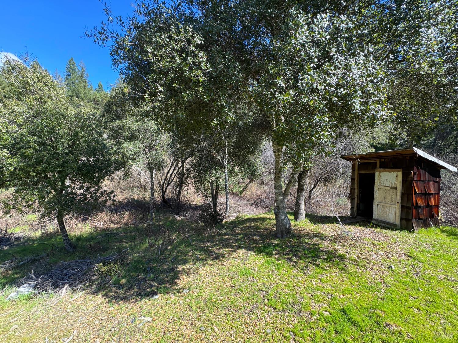 14605 Tomki Road Redwood Valley CA 95470