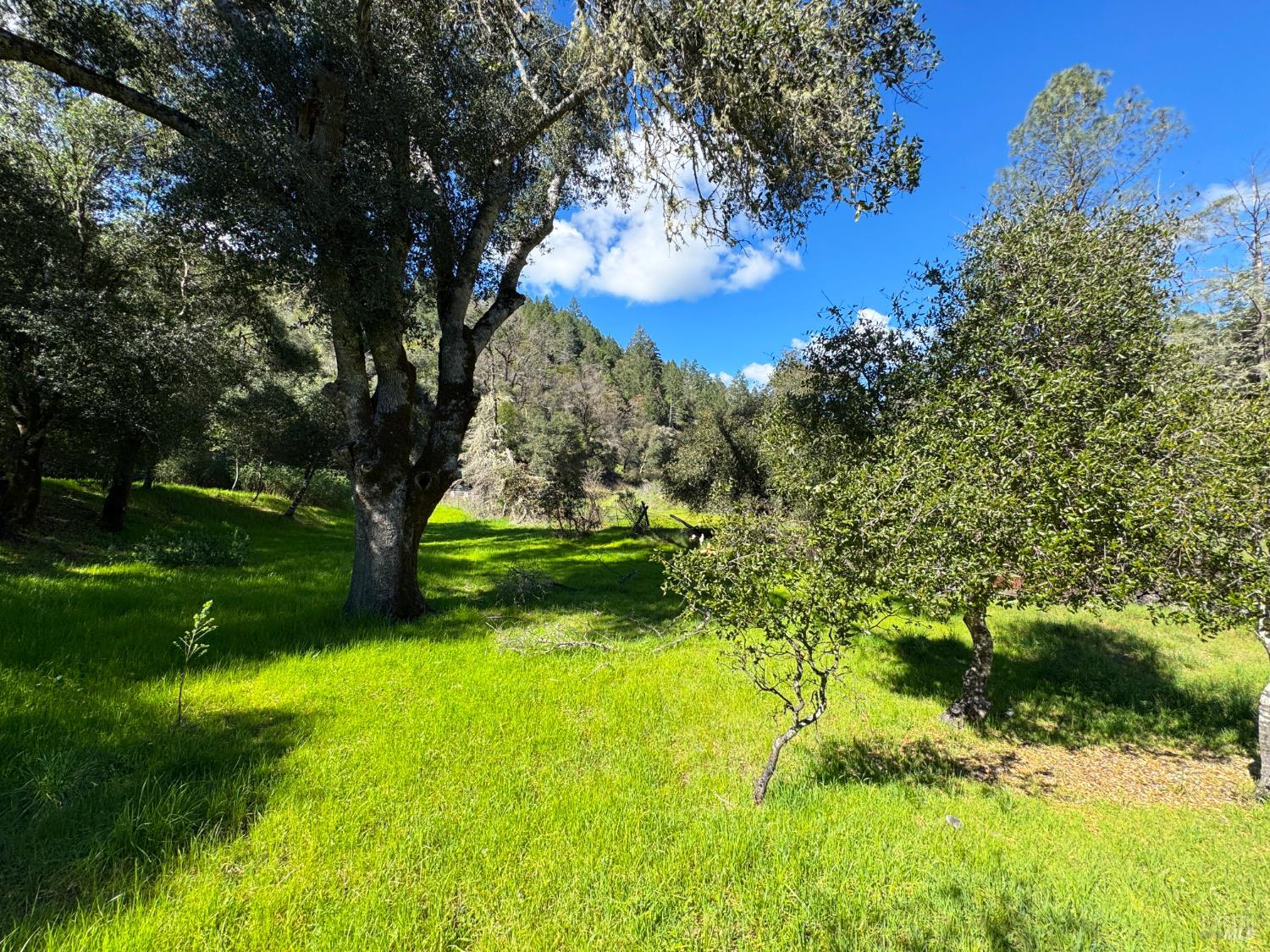 14605 Tomki Road Redwood Valley CA 95470