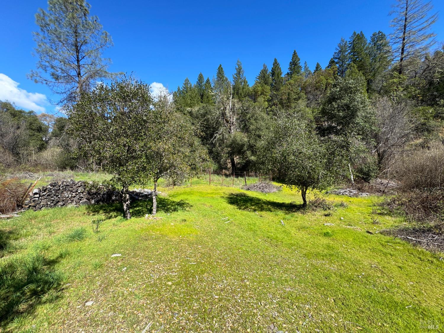 14605 Tomki Road Redwood Valley CA 95470