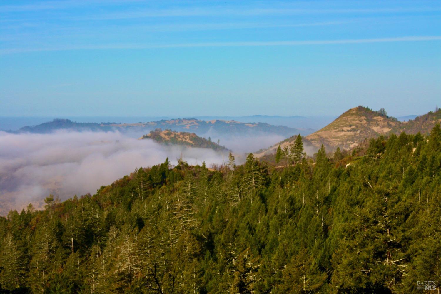 4405 Lake County Highway Calistoga CA 94515