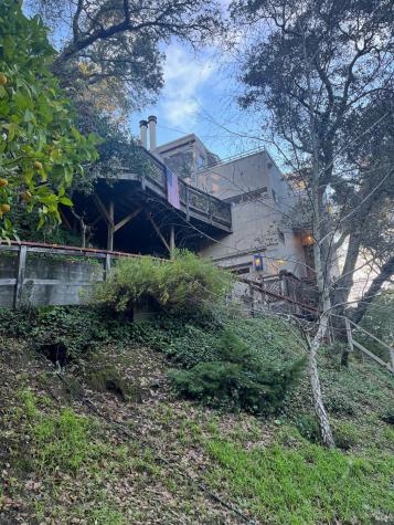 19 Holly Avenue Larkspur CA 94939