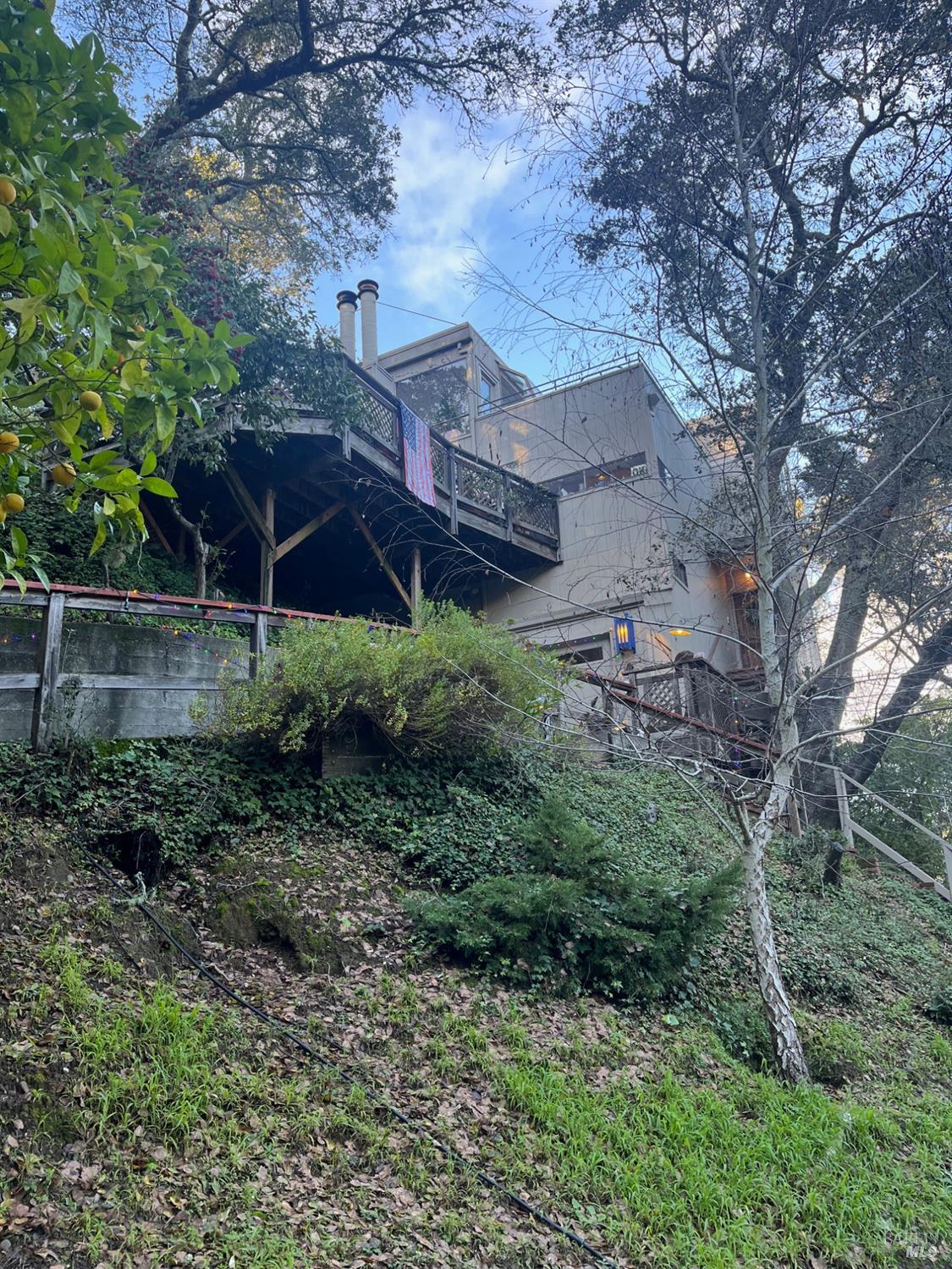 19 Holly Avenue Larkspur CA 94939