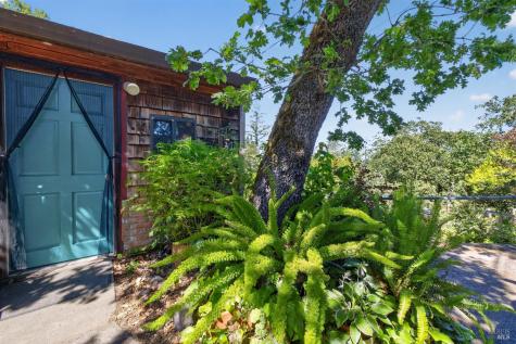 9312 Champs De Elysees Forestville CA 95436