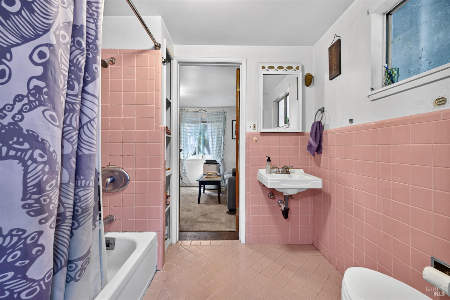 9312 Champs De Elysees Forestville CA 95436