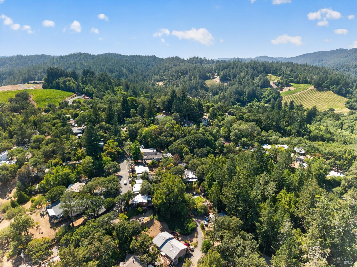 9312 Champs De Elysees Forestville CA 95436