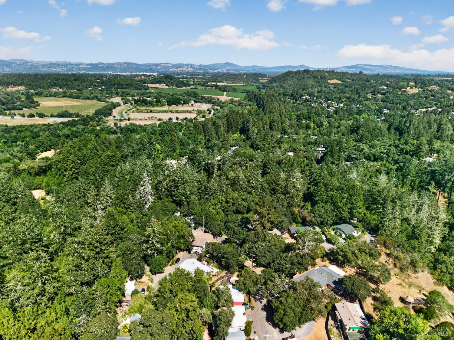 9312 Champs De Elysees Forestville CA 95436
