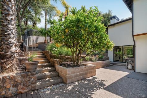 21 Newhall Drive San Rafael CA 94901