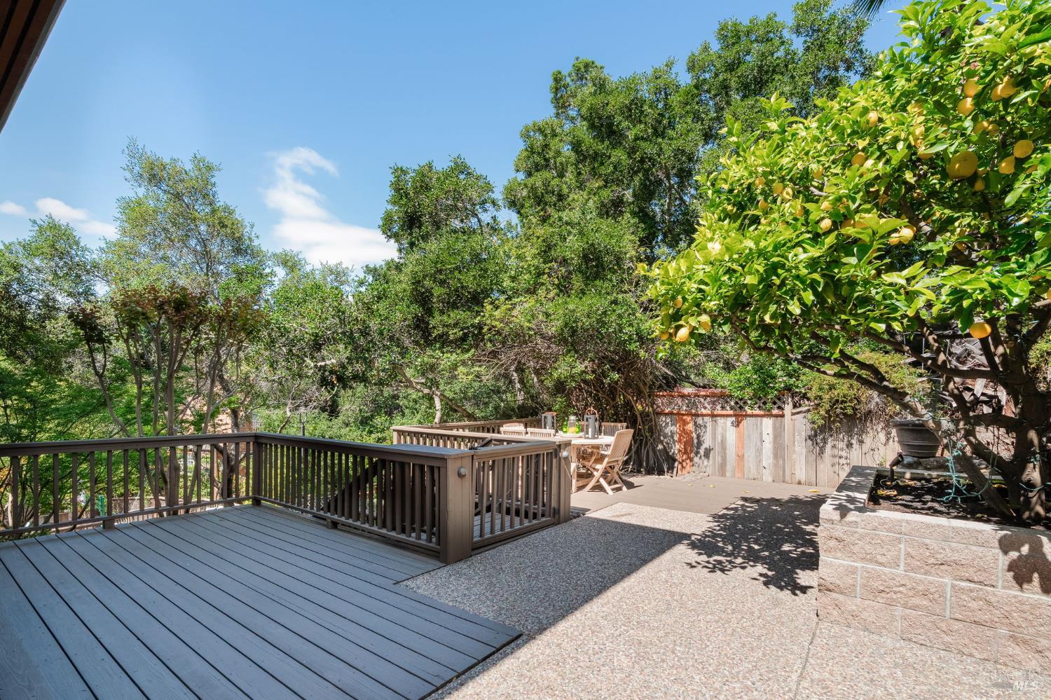 21 Newhall Drive San Rafael CA 94901
