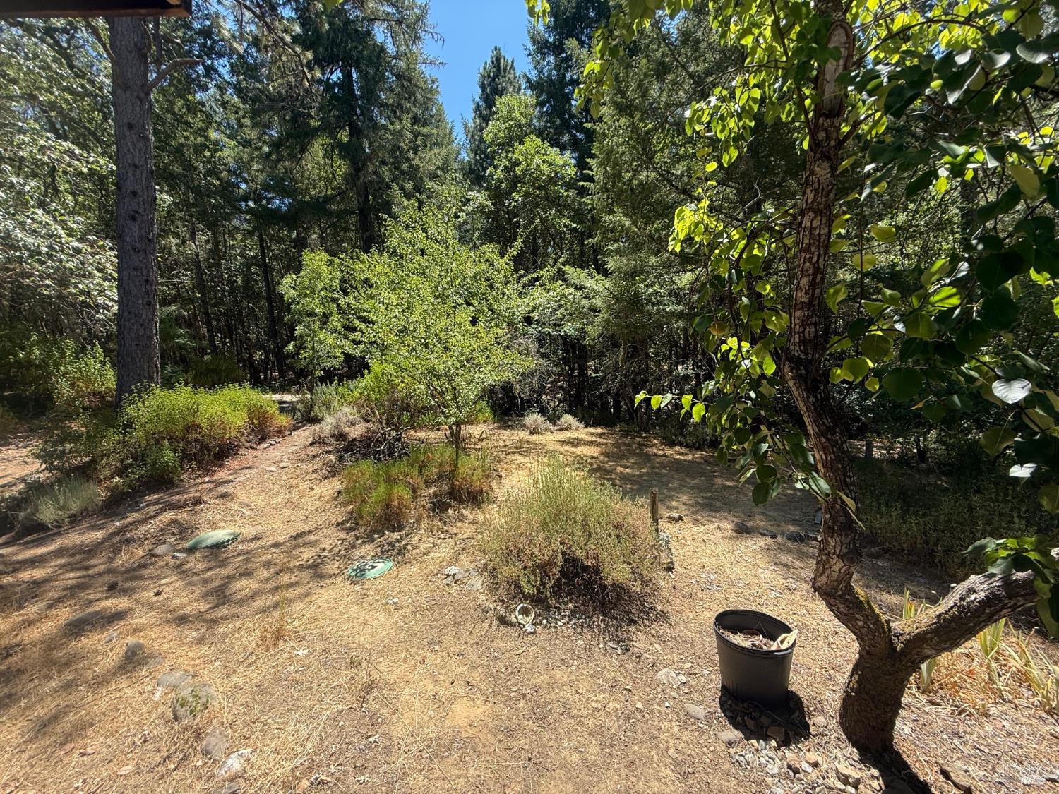 47400 Highway 101 Laytonville CA 95454