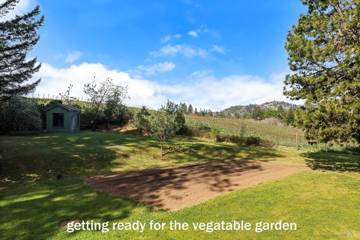 539 Keyes Avenue Angwin CA 94508