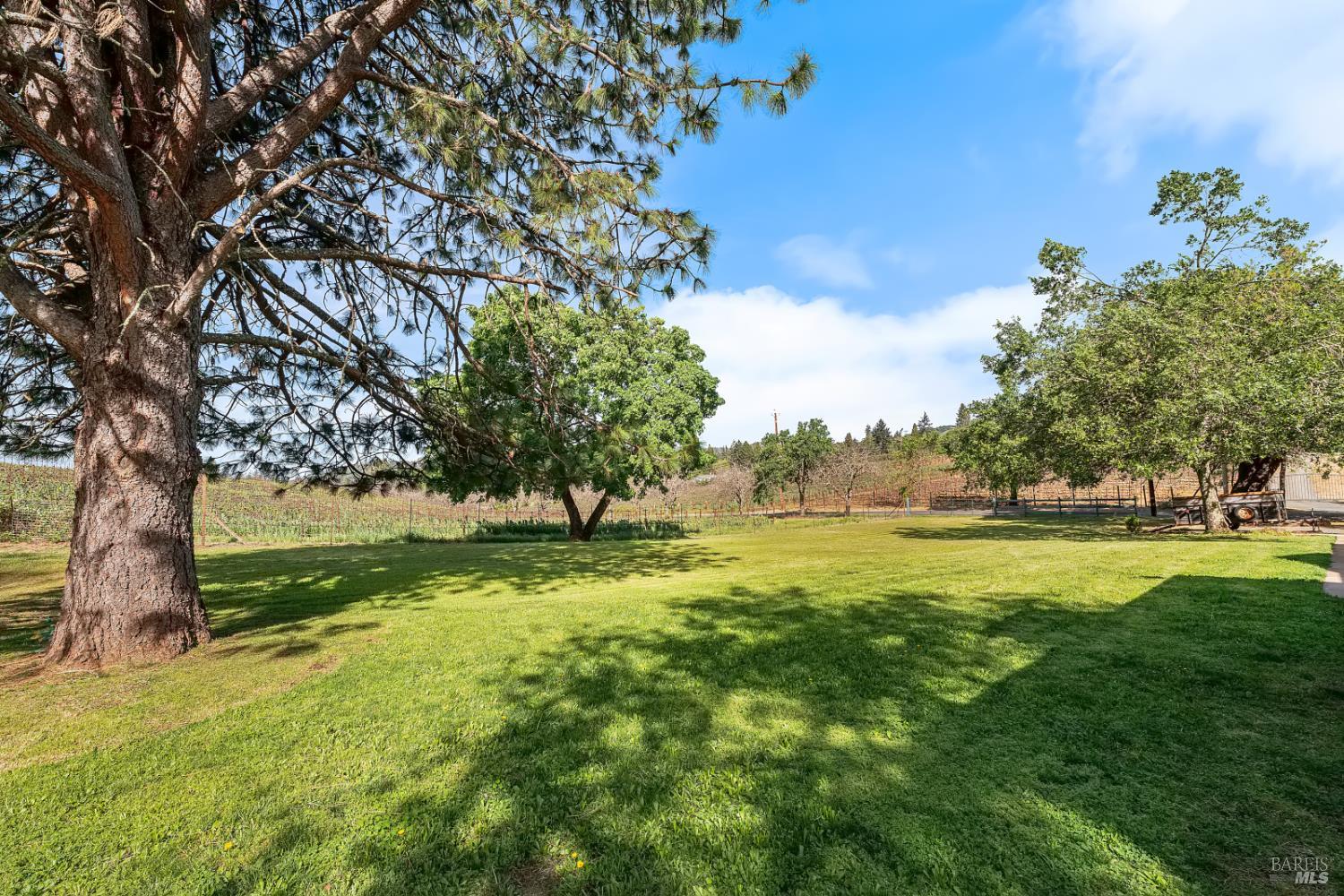 539 Keyes Avenue Angwin CA 94508