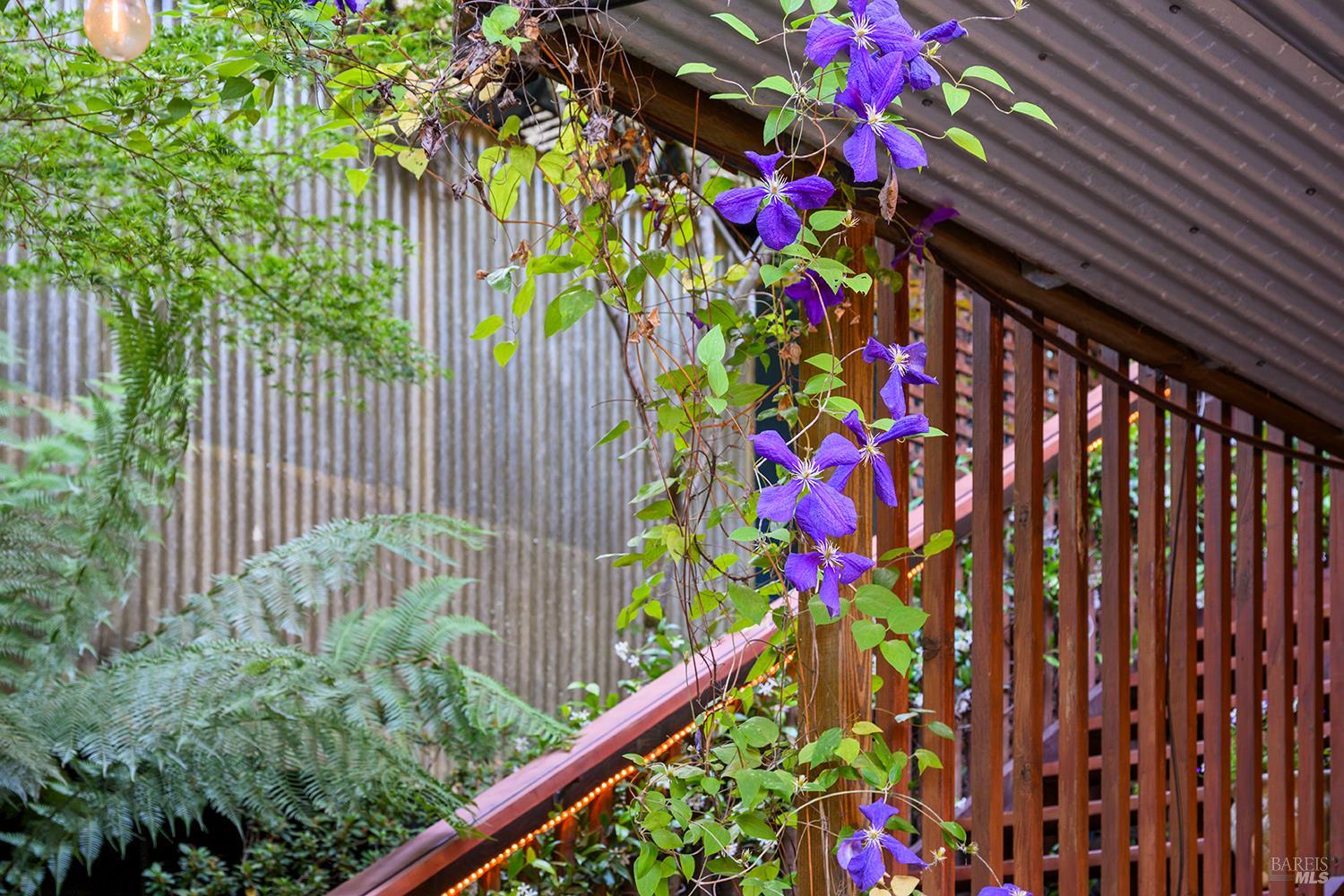 14361 Old Cazadero Road Guerneville CA 95446