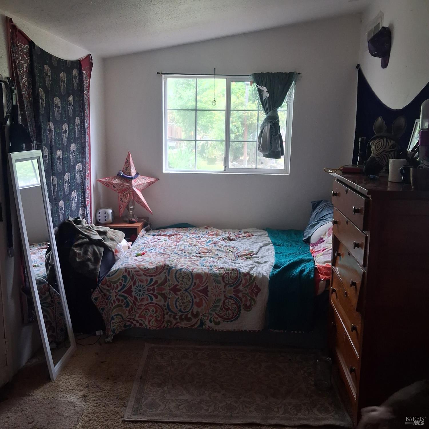 10113 Field Lane Forestville CA 95436