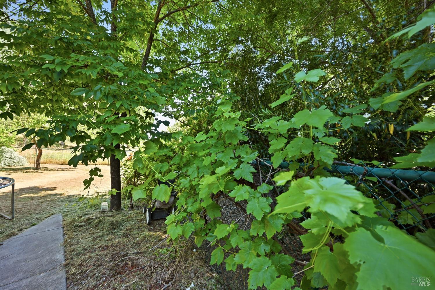18670 Maple Leaf Court Hidden Valley Lake CA 95467