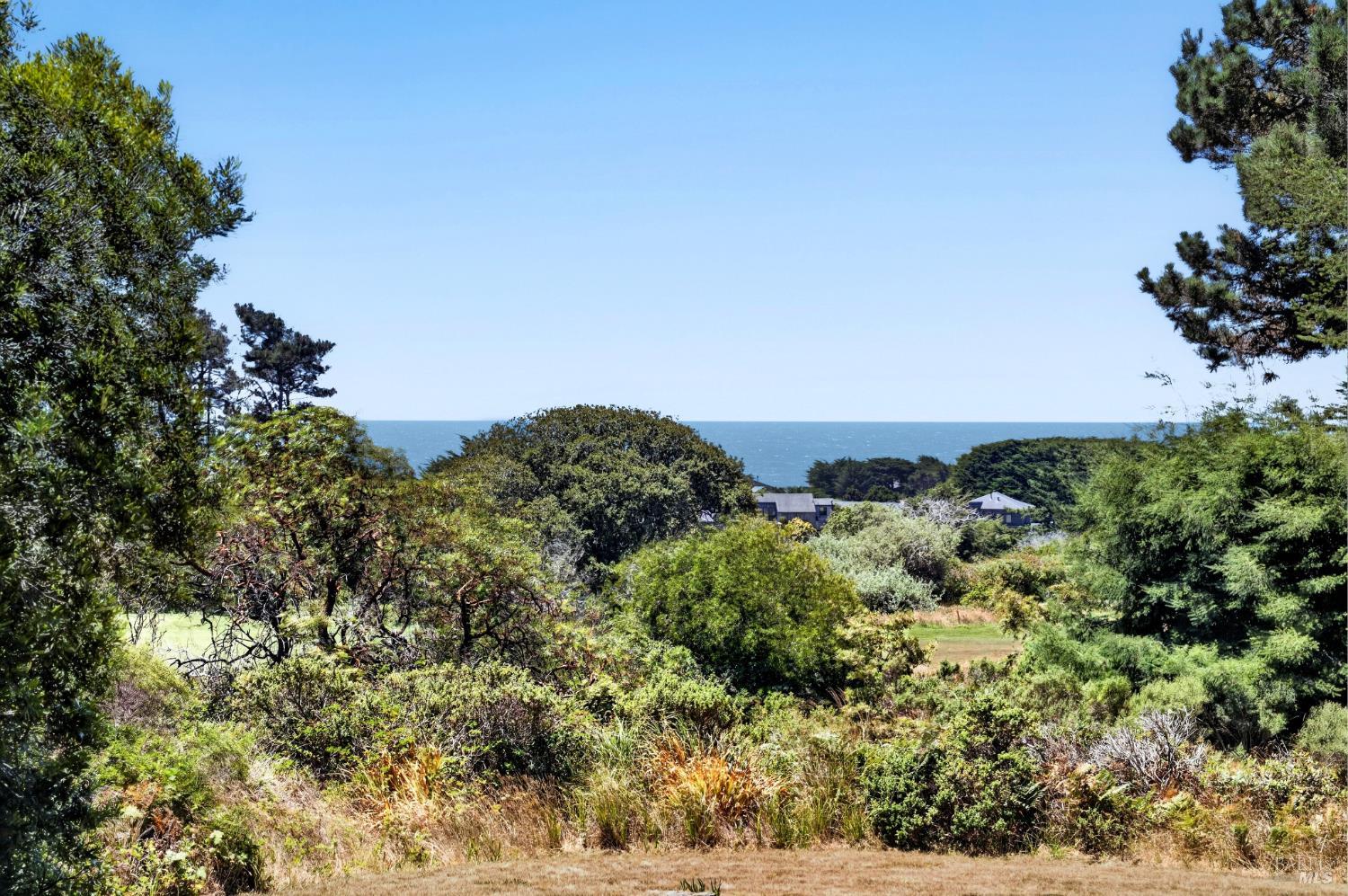 41289 Tallgrass The Sea Ranch CA 95497