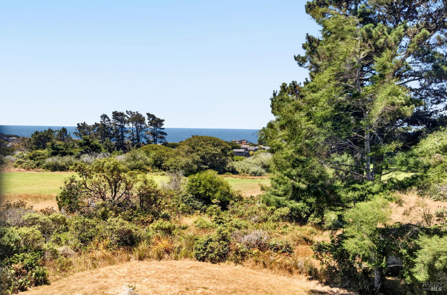 41289 Tallgrass The Sea Ranch CA 95497