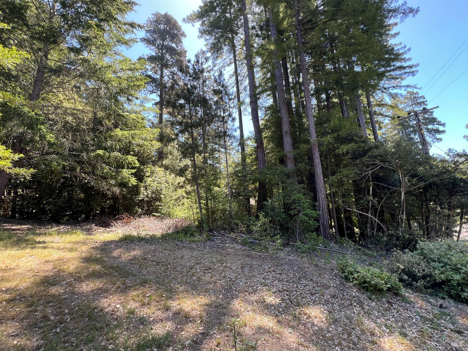 35551 Ocean View Street Gualala CA 95445