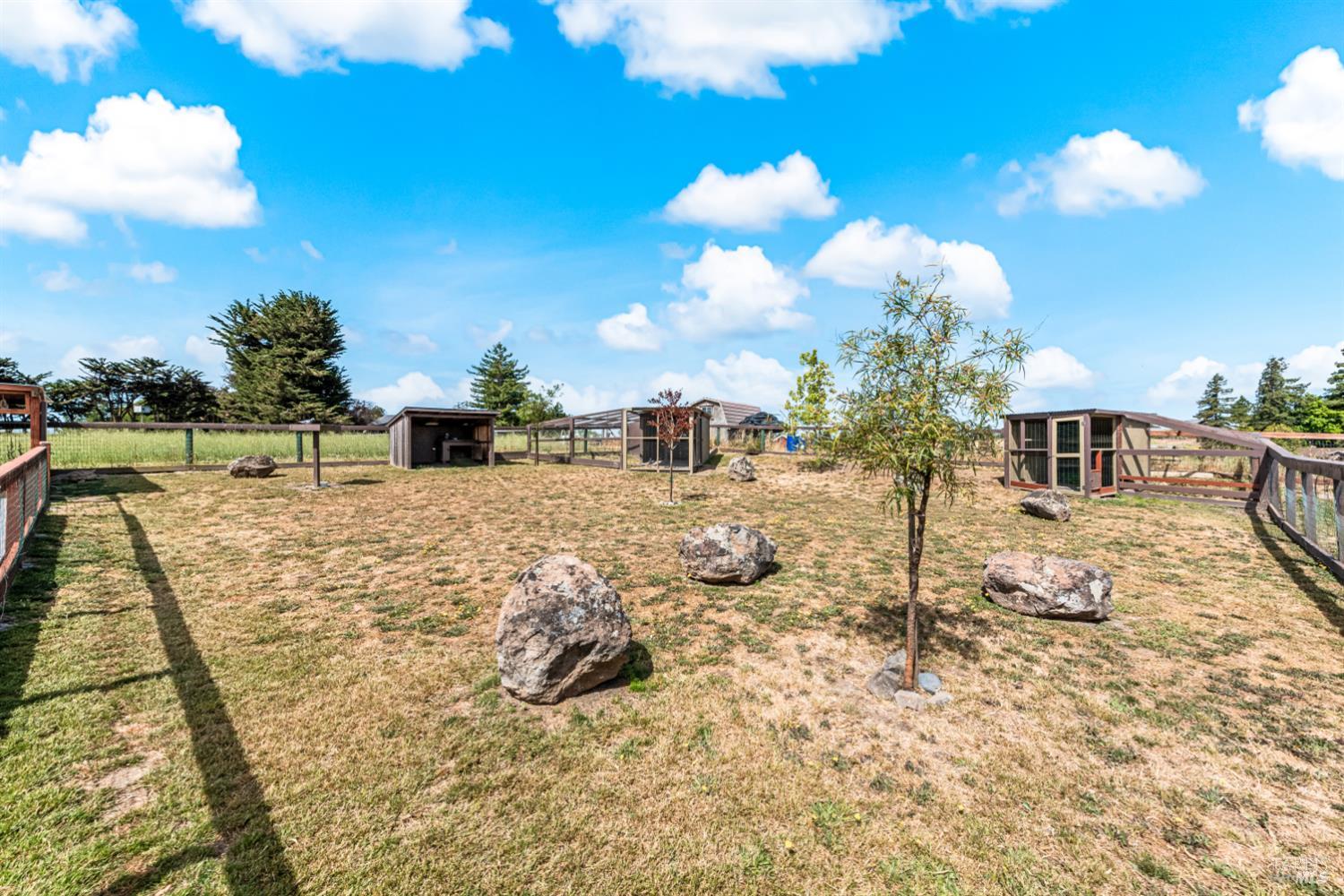 8571 Brand Lane Penngrove CA 94951