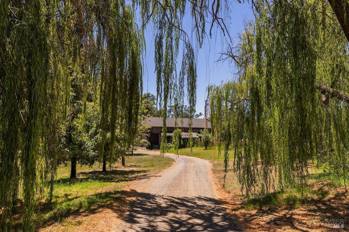 16000 Powerhouse Road Potter Valley CA 95469