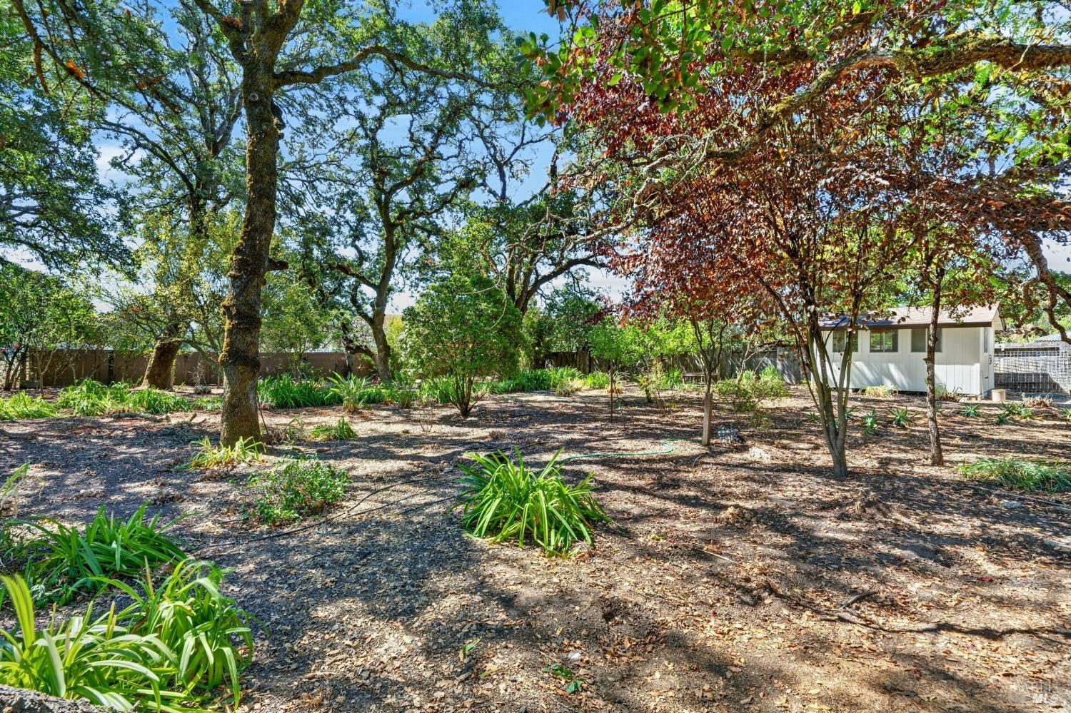 767 Joni Court Windsor CA 95492