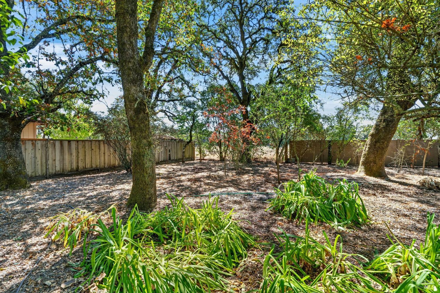 767 Joni Court Windsor CA 95492