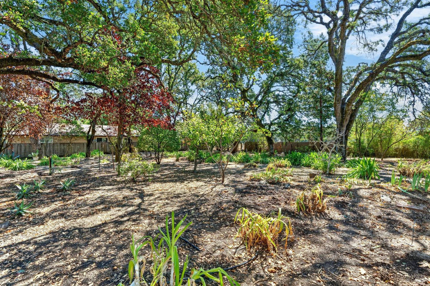 767 Joni Court Windsor CA 95492