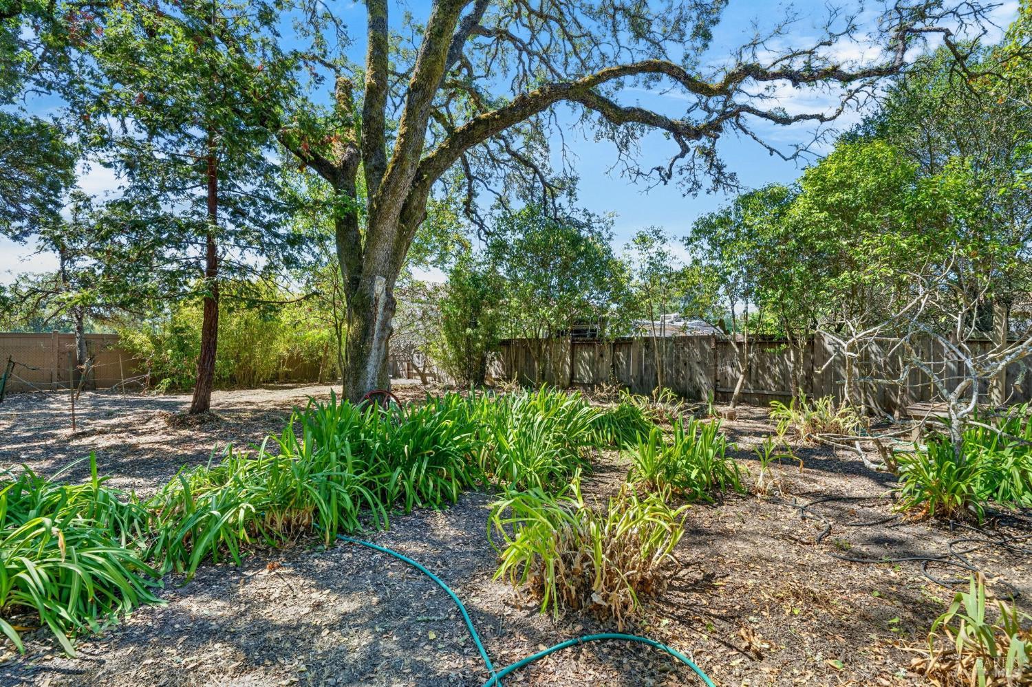767 Joni Court Windsor CA 95492