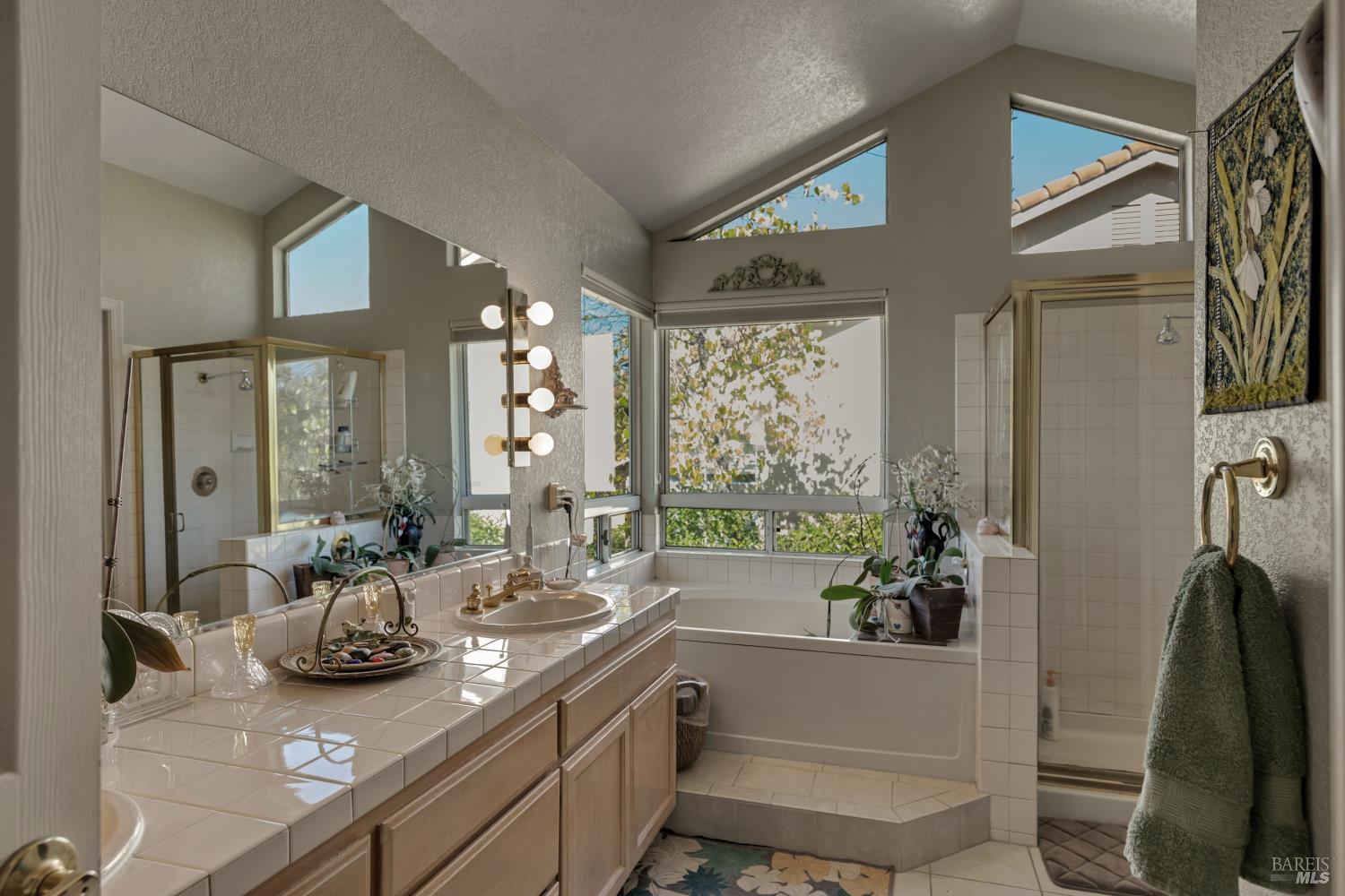 413 Buena Tierra Court Windsor CA 95492