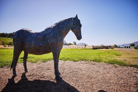 125 Belvedere Avenue Belvedere CA 94920