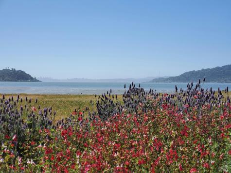 125 Belvedere Avenue Belvedere CA 94920