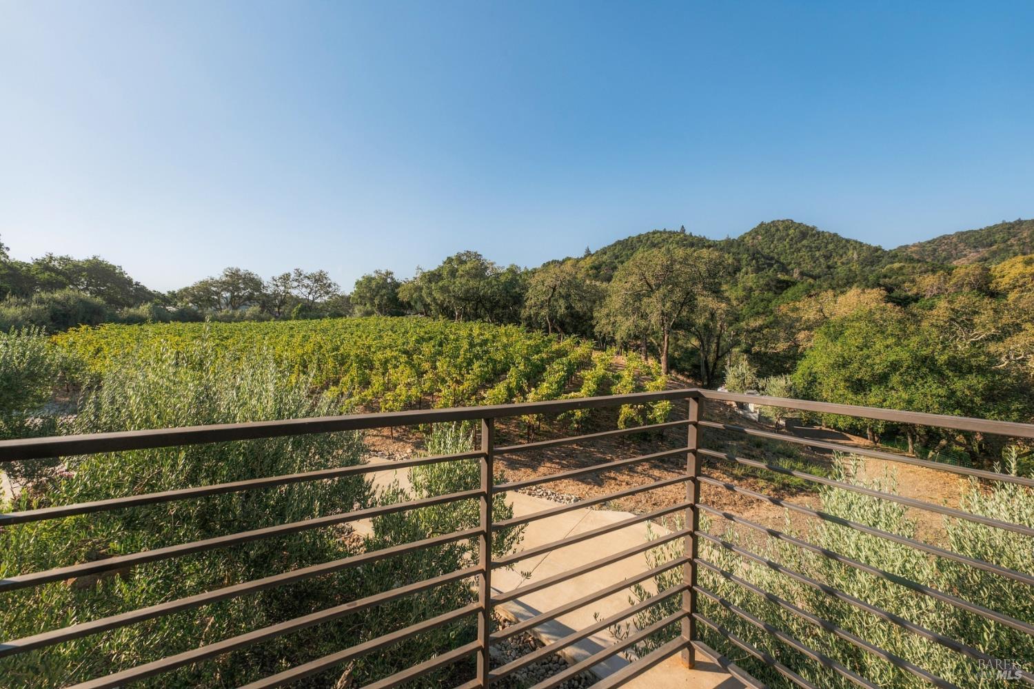 45 Vineyard View Drive Napa CA 94558
