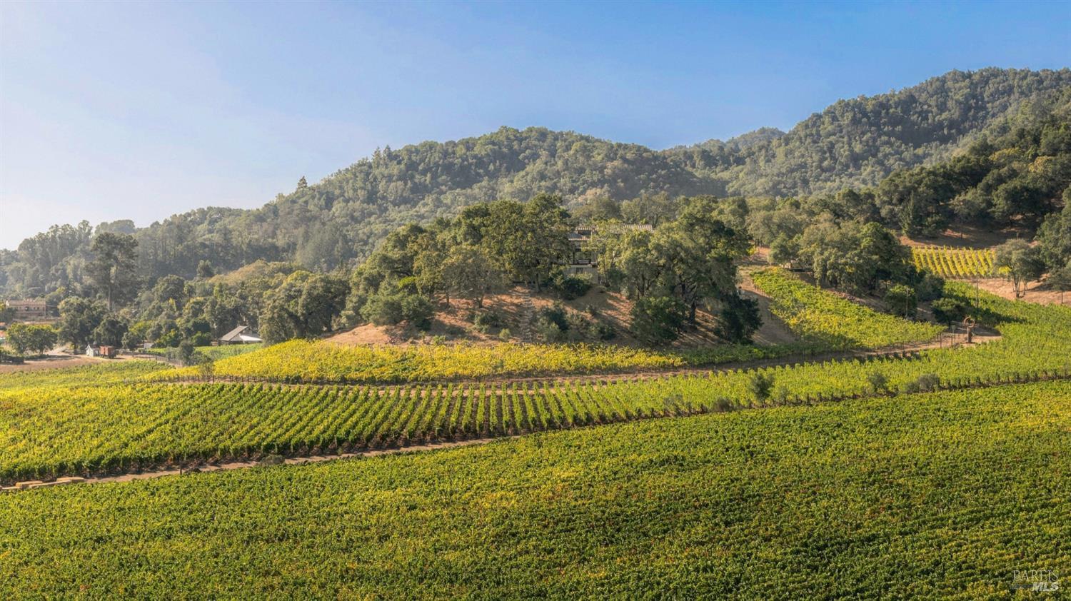 45 Vineyard View Drive Napa CA 94558
